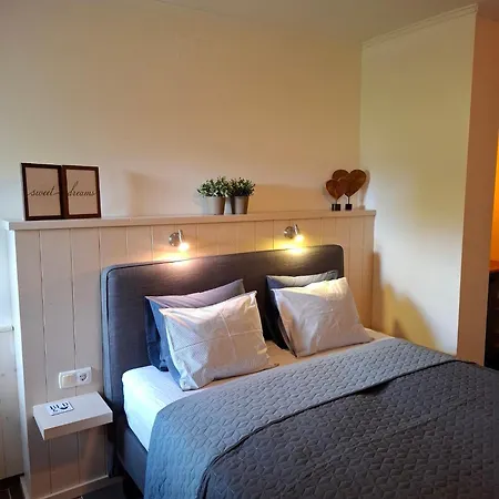 Tisza - Panzio 4*