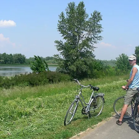 Bed & Breakfast Tisza - Panzio