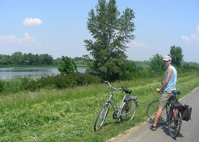 Bed & Breakfast Tisza - Panzio